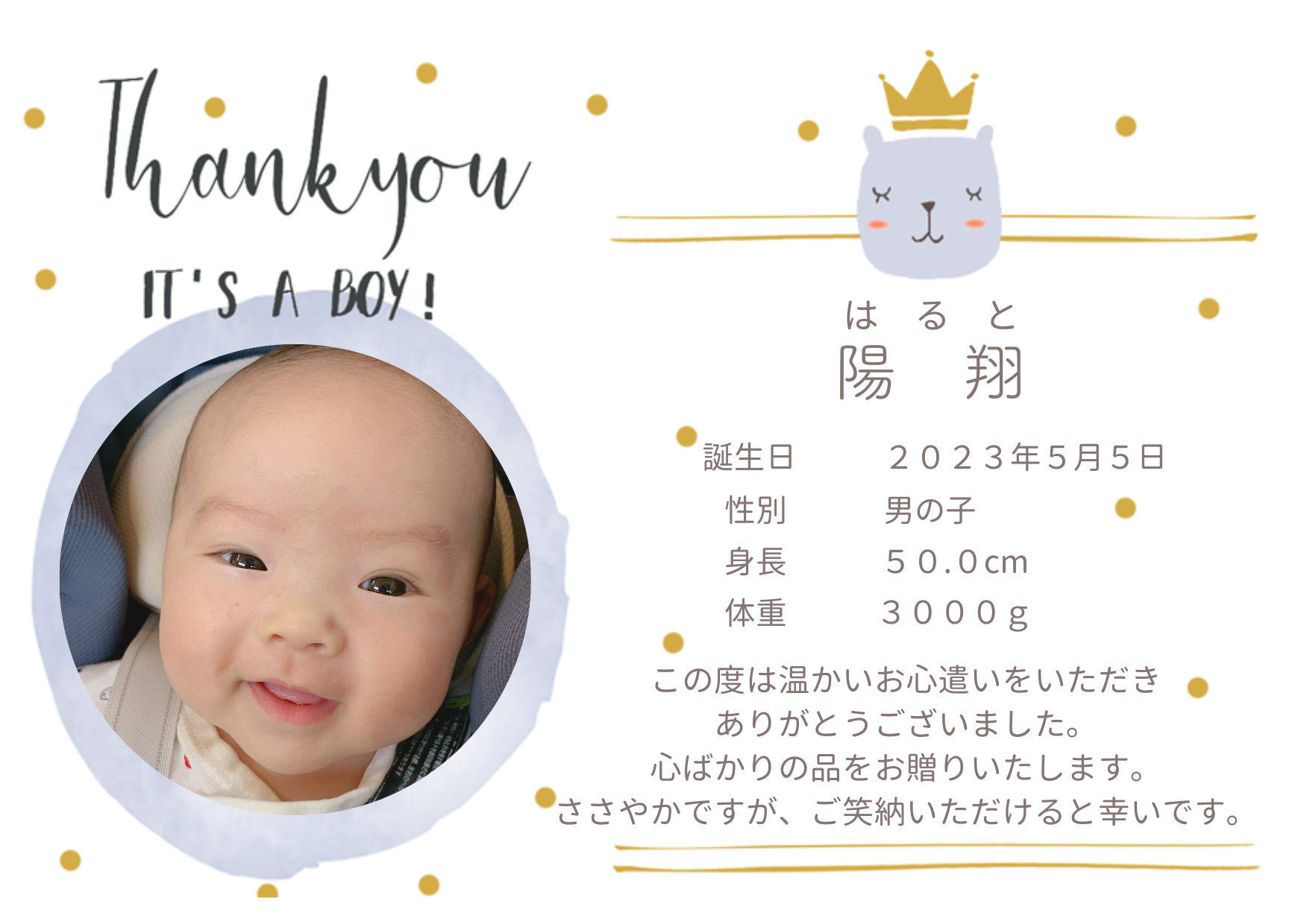 パピー(ブルー)/写真入り