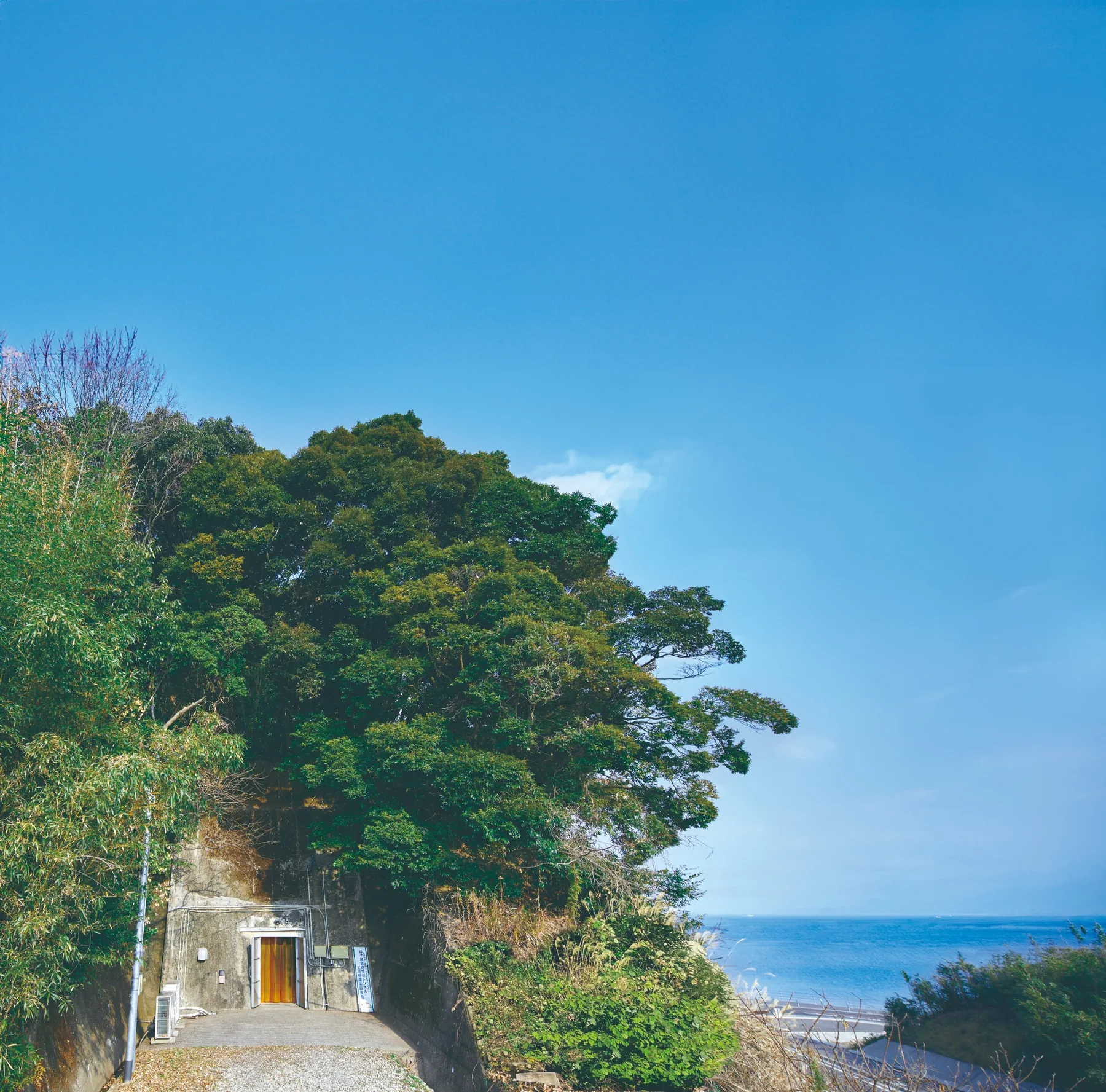 熟成トンネル周辺の風景