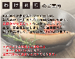 【5/7～順次発送・GW限定・わけあり】ドイツ屋台の白い焼きソーセージ