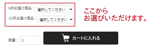 購入方法
