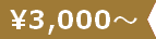 3000円台